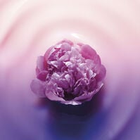 Age Perfect Golden Age Crema Noche Re-Estimulante  50ml-192146 Age Perfect Golden Age Crema Noche Re-Estimulante  50ml-192146 3